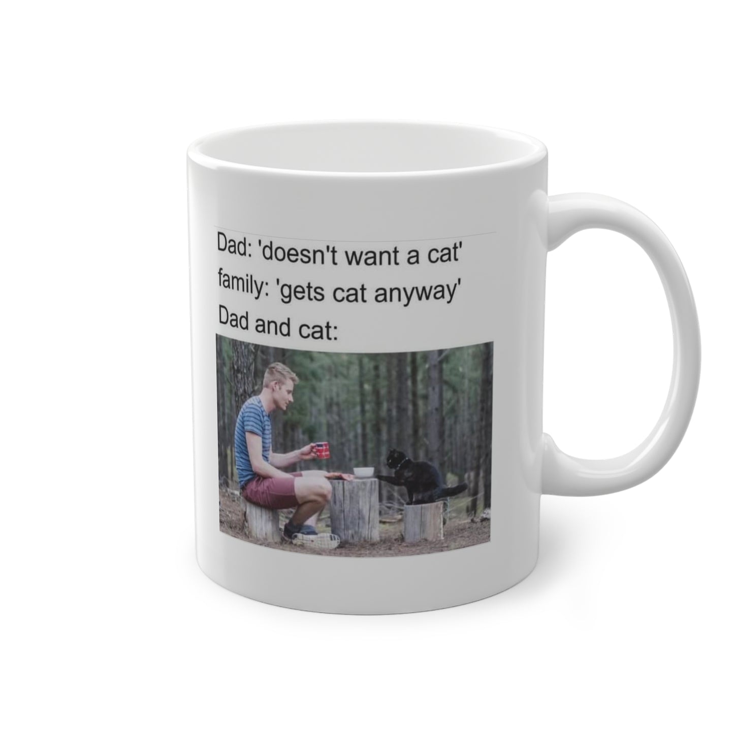 'Dad And Cat' Mok