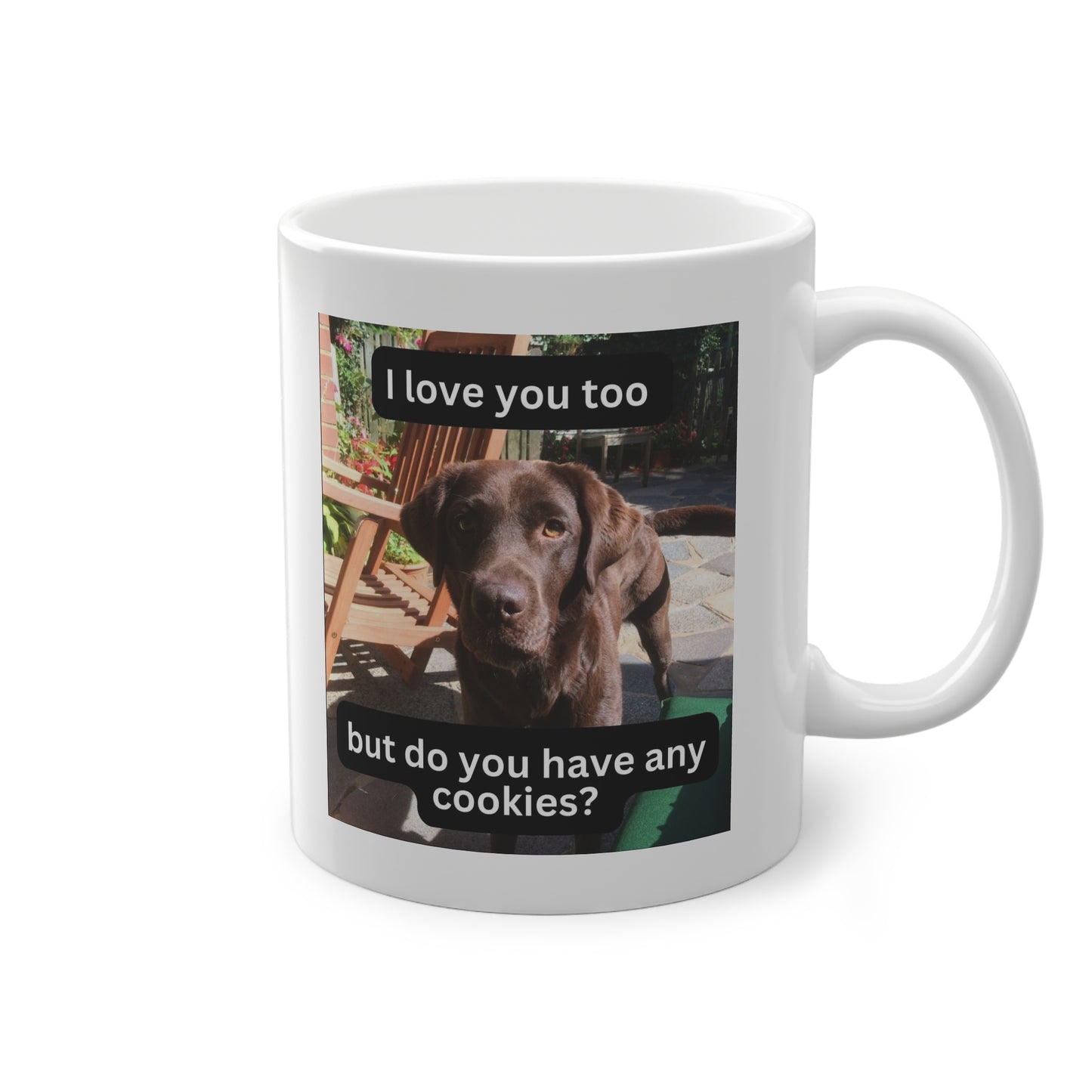 'Do You Have Any Cookies?' Mok